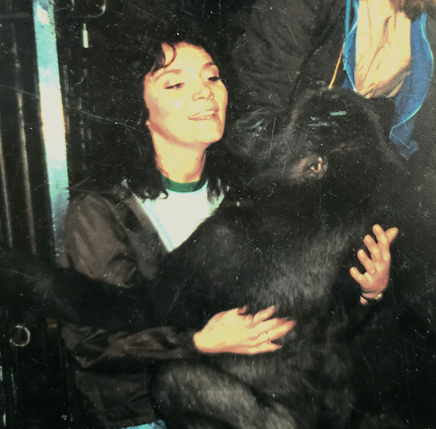 FRE Consummate fan with gorilla 2.jpg